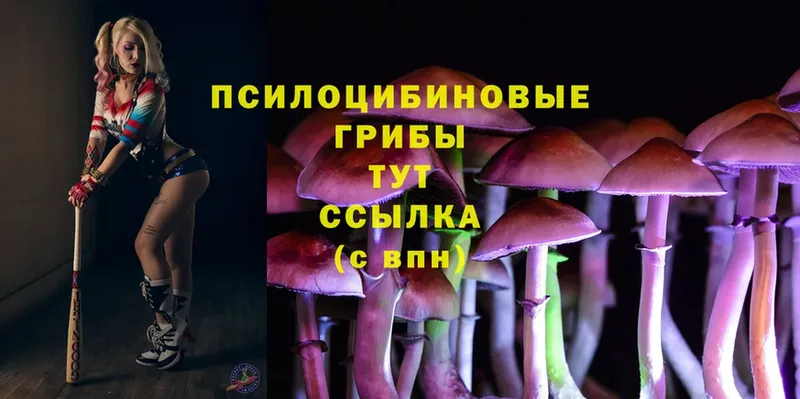 Галлюциногенные грибы MAGIC MUSHROOMS Бологое